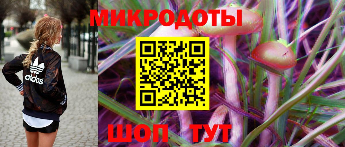 Псилоцибиновые грибы прущие грибы Коломна