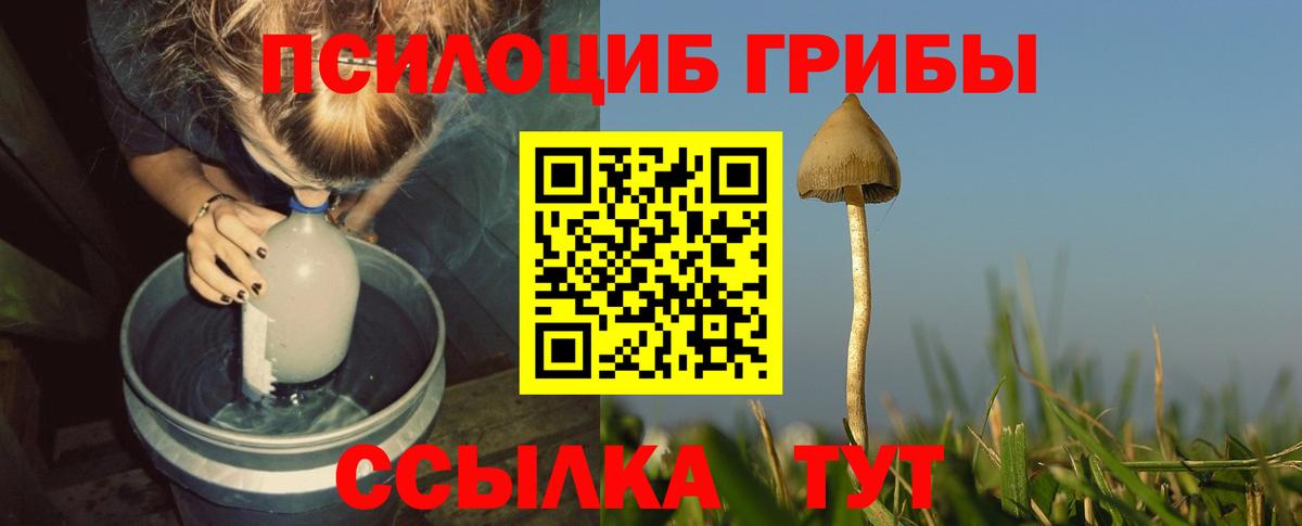 Коломна  Амфетамин   А ПВП СОЛЬ   ГАШ  Меф МЯУ МЯУ кристаллы  НБОМе  Вход с VPN  МЕТАМФЕТАМИН  Кокаин 